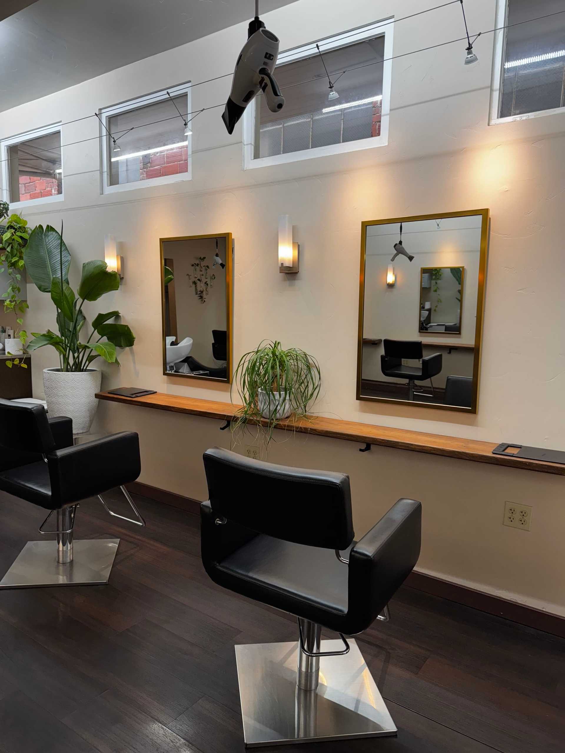 Modern salon with stylish chairs, large mirrors, and plant decor.